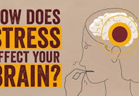 How Does Stress Affect Our Brains?